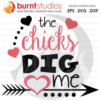 SVG Cutting File, The Chicks Dig Me, Boys, Baby's First Valentine's Day, Heart, Love Cupid February 14, Design, Decal, Cutting File Svg, Png